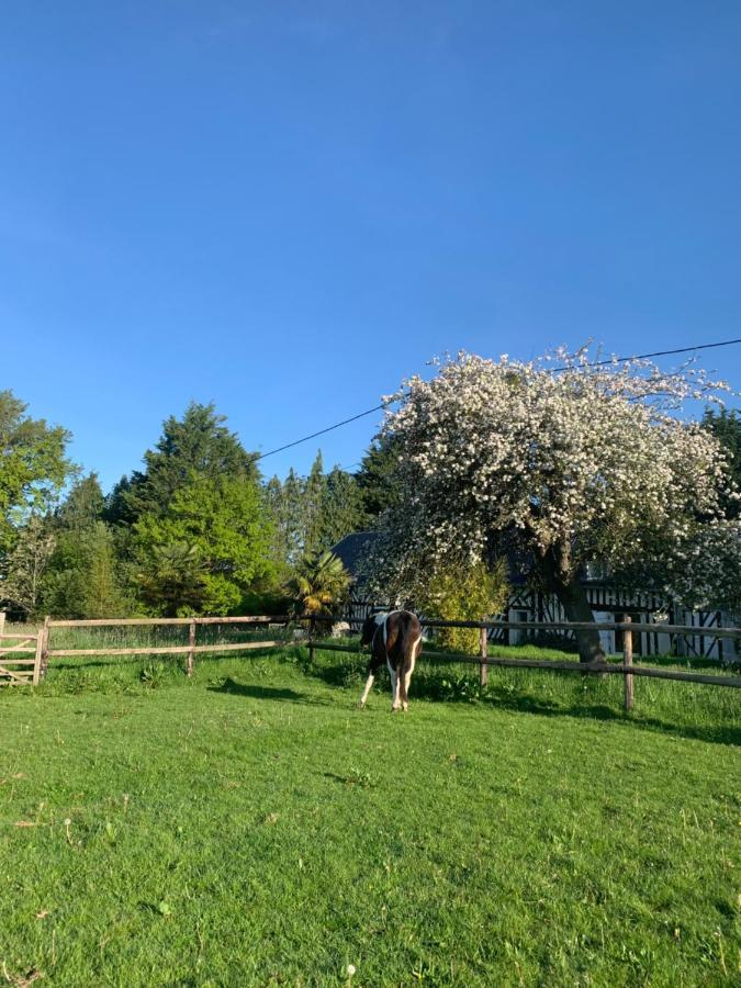 Gite Le Bonheur Est Dans Le Pre Saint-Pierre-Des-Ifs  Eksteriør billede